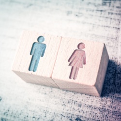 Symboles masculin et féminin sur cubes en bois.